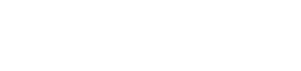 ZOLDER_LOGO_WIT_Liggend