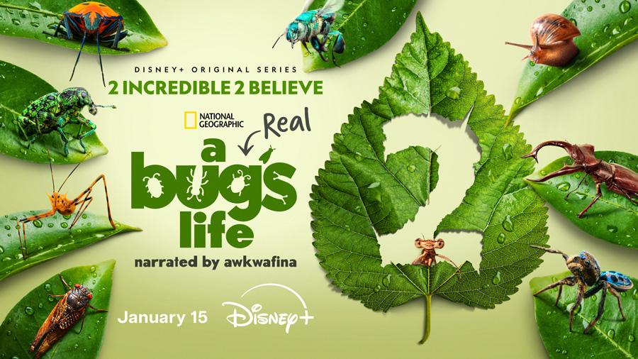 ARealBugsLife_Disney