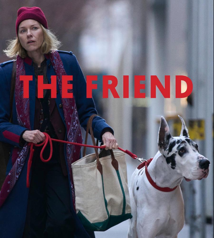 MoviePoster_TheFriend