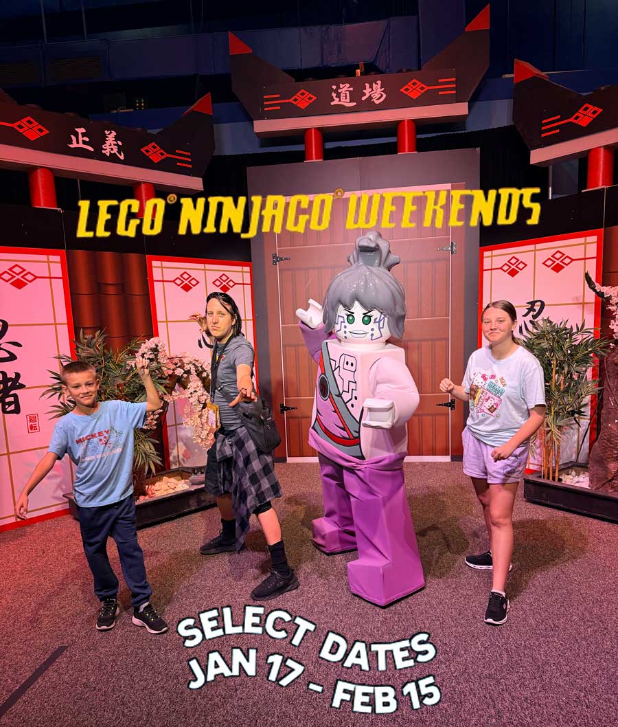 LEGO_NINJAGO_WEEKENDS