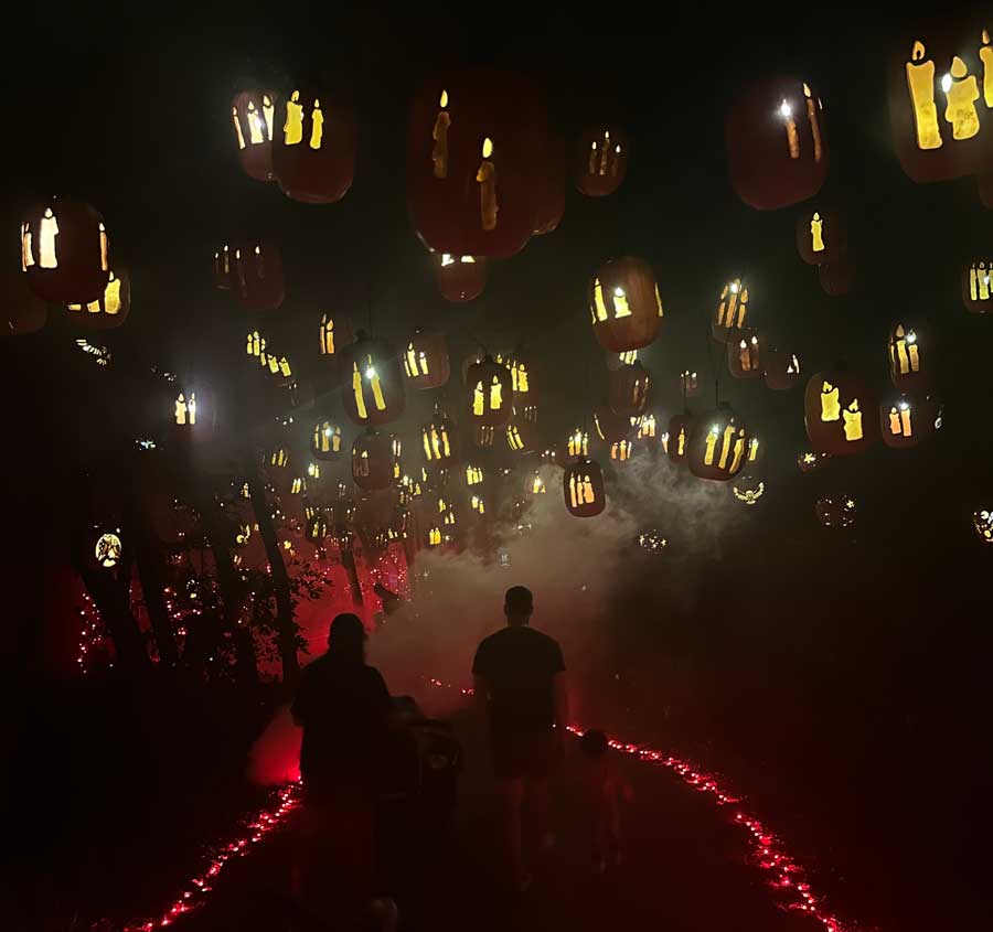 PumpkinNightsAustin2