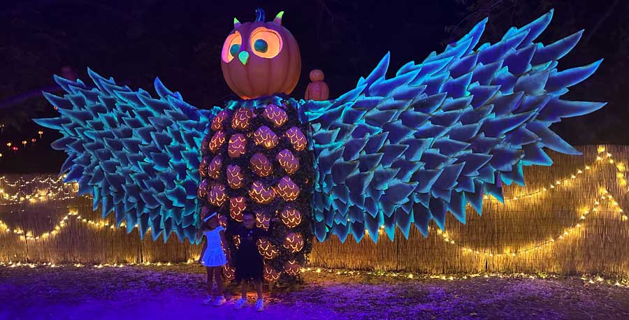 PumpkinNightsAustin3